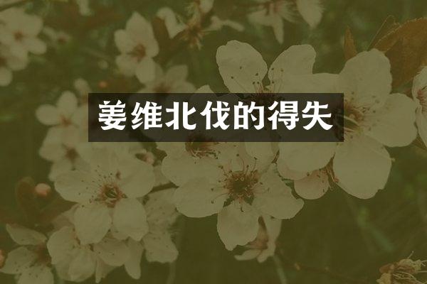 姜维北伐的得失