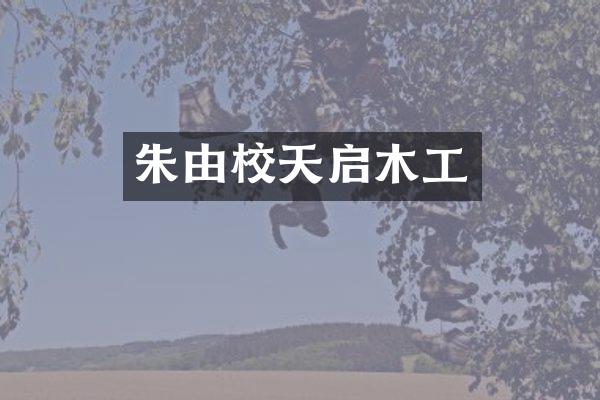 朱由校天启木工