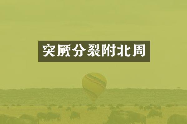 突厥分裂附北周