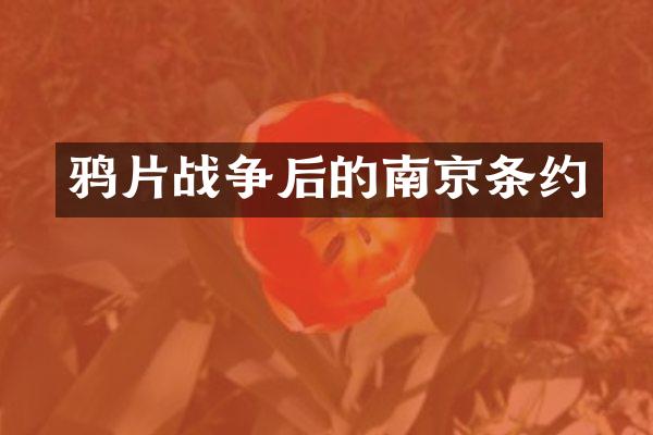 战争后的南京条约