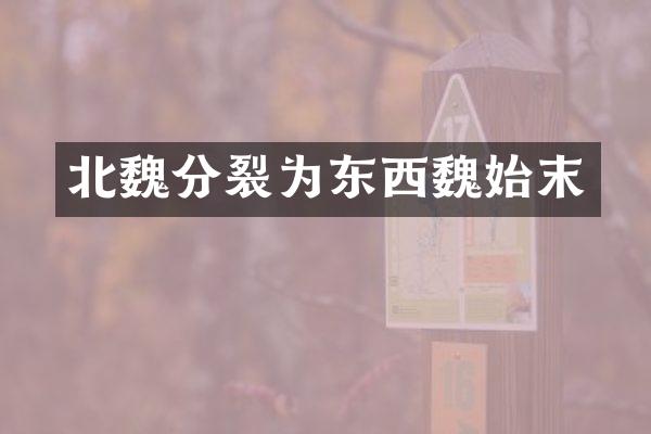 北魏分裂为东西魏始末