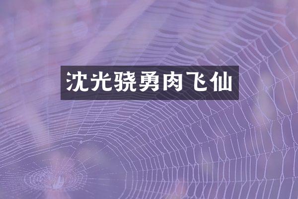沈光骁勇肉飞仙