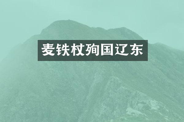 麦铁杖殉国辽东