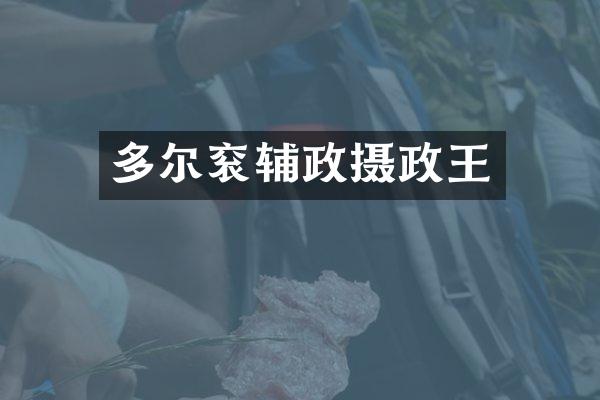 多尔衮辅政摄政王