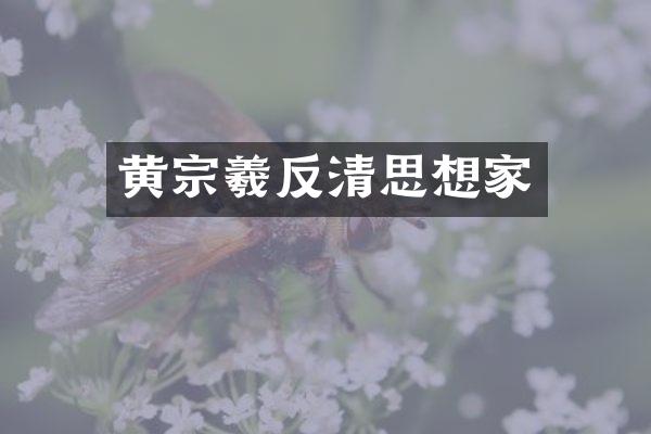 黄宗羲反清思想家