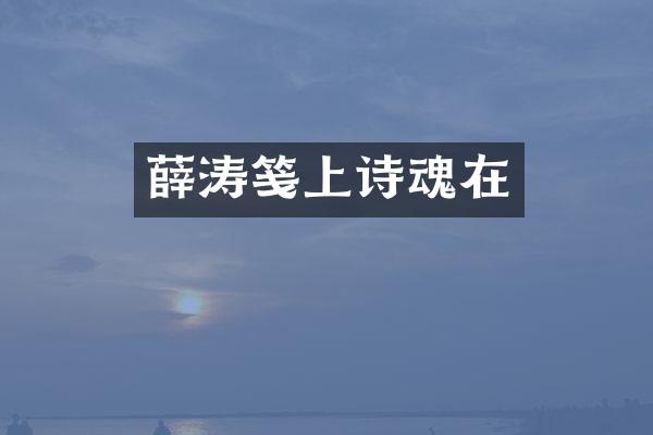 薛涛笺上诗魂在