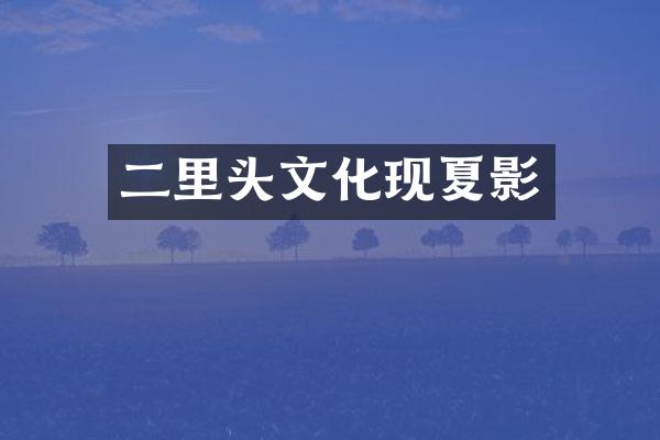 二里头文化现夏影