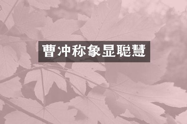 曹冲称象显聪慧