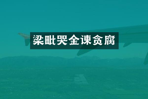 梁毗哭金谏贪腐