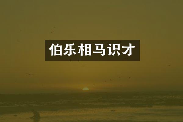 伯乐相马识才