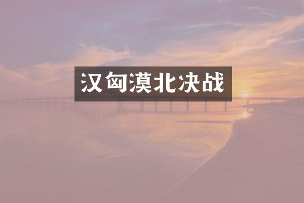 汉匈漠北决战