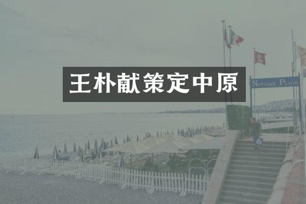 王朴献策定中原