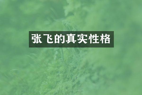 张飞的真实性格