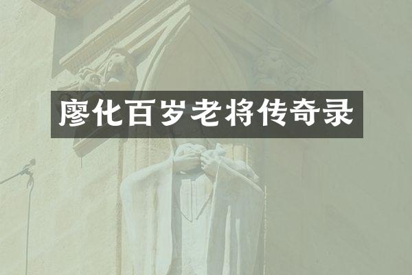 廖化百岁老将传奇录