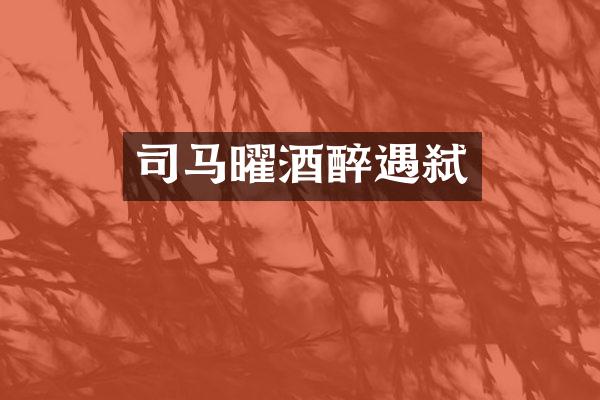 司马曜酒醉遇弑