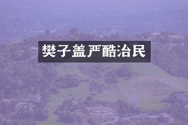 樊子盖严酷治民