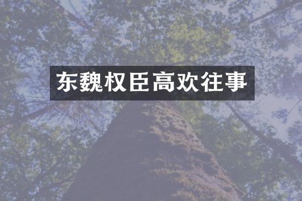 东魏权臣高欢往事