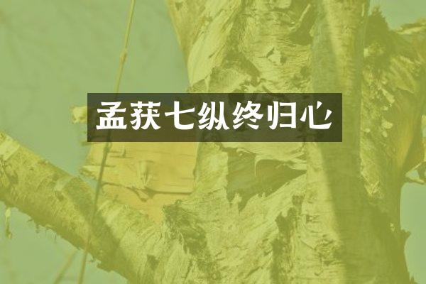 孟获七纵终归心