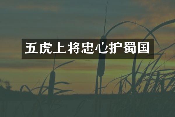 五虎上将忠心护蜀国
