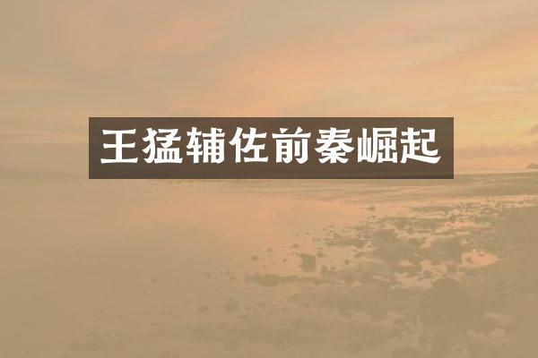 王猛辅佐前秦崛起