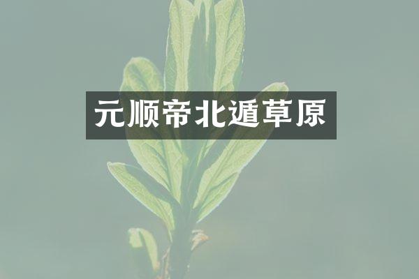 元顺帝北遁草原