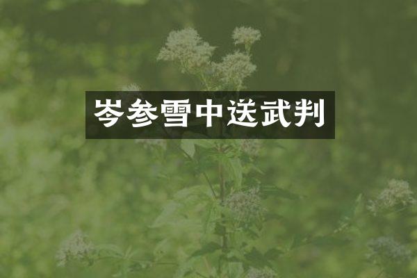 岑参雪中送武判