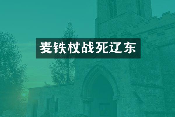 麦铁杖战死辽东