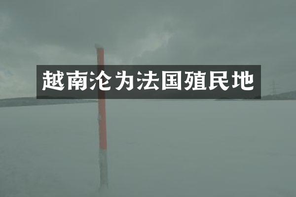 越南沦为法国殖民地