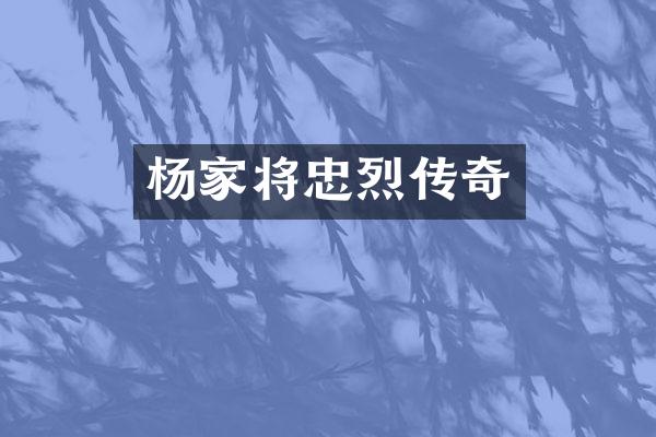 杨家将忠烈传奇