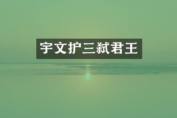 宇文护三弑君王