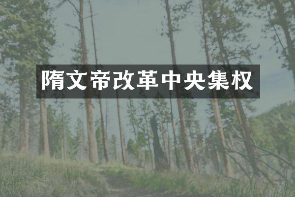 隋文帝改革中央集权