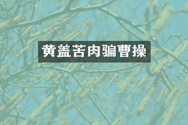 黄盖苦肉骗曹操