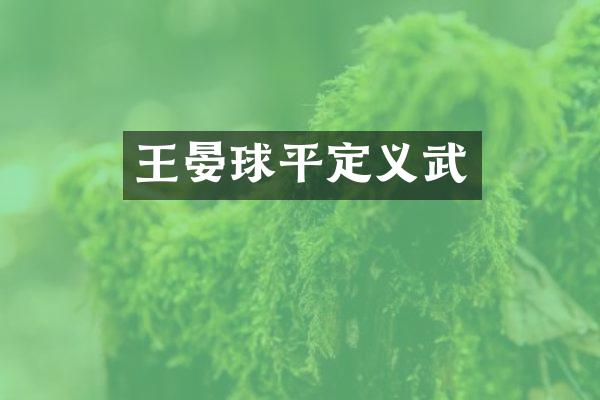 王晏球平定义武