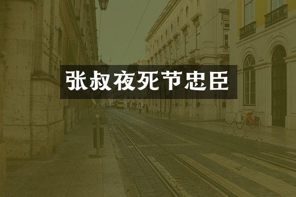 张叔夜死节忠臣