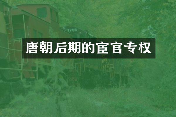唐朝后期的宦官专权