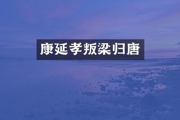 康延孝叛梁归唐