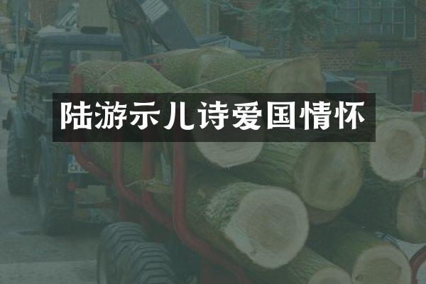 陆游示儿诗爱国情怀