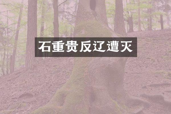 石重贵反辽遭灭