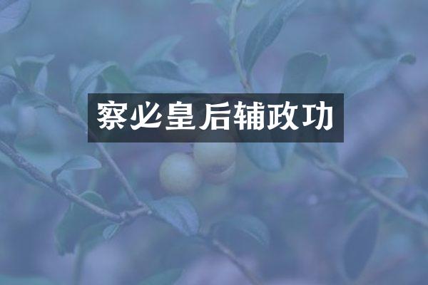 察必皇后辅政功