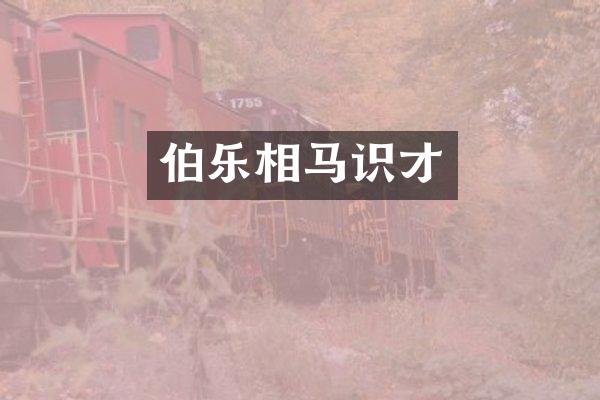 伯乐相马识才