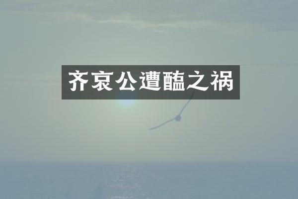 齐哀公遭醢之祸