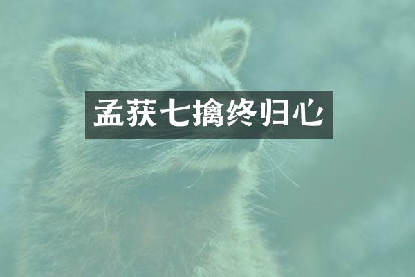 孟获七擒终归心