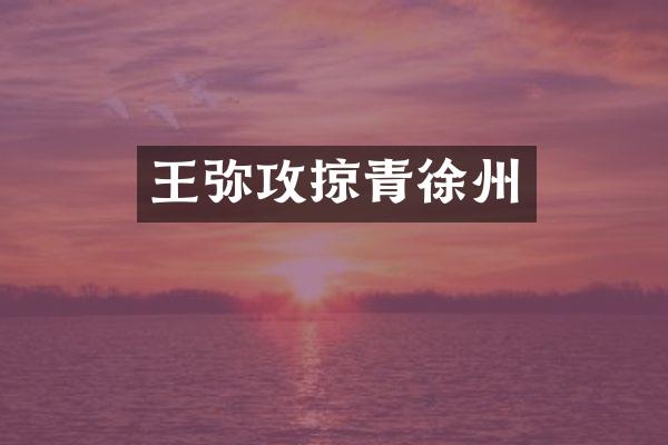 王弥攻掠青徐州