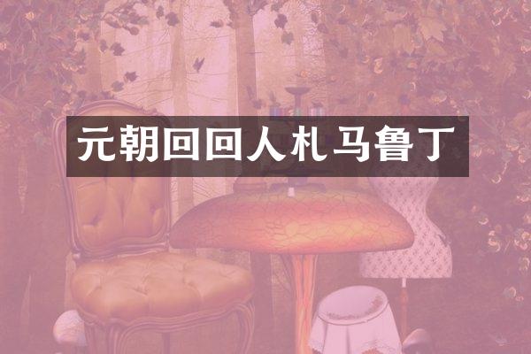 元朝回回人札马鲁丁