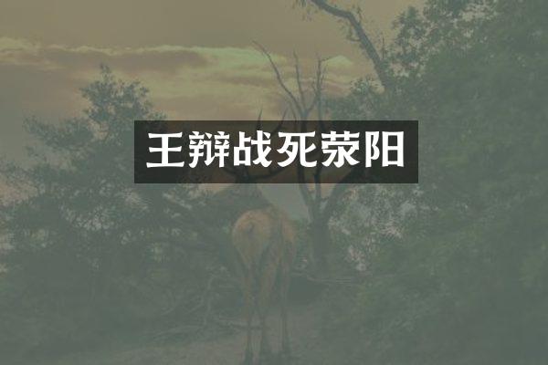 王辩战死荥阳