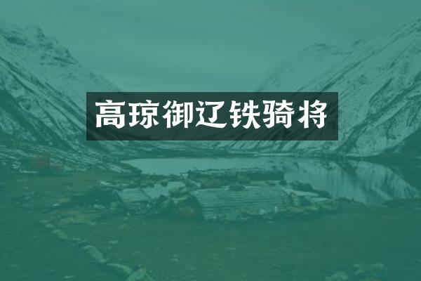 高琼御辽铁骑将