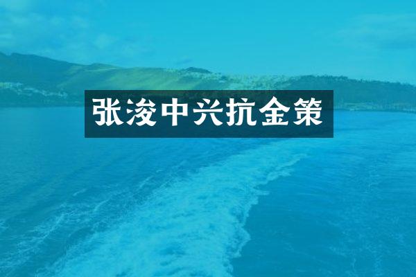 张浚中兴抗金策