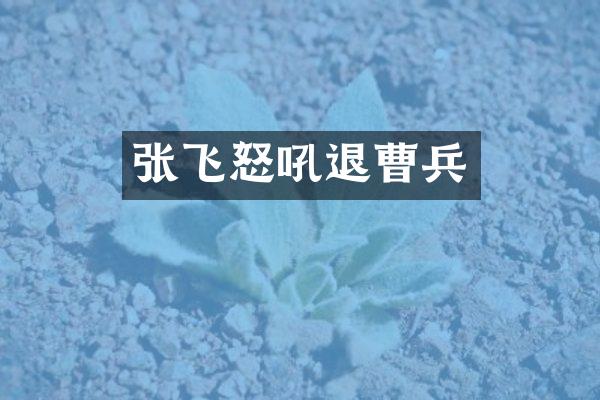 张飞怒吼退曹兵