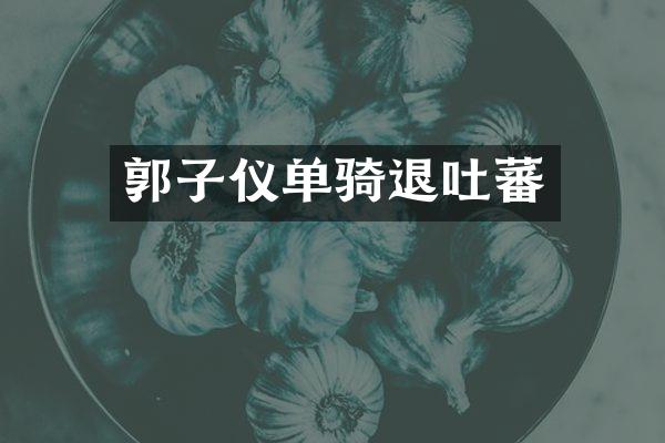 郭子仪单骑退吐蕃