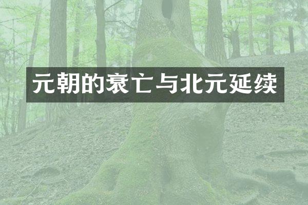 元朝的衰亡与北元延续